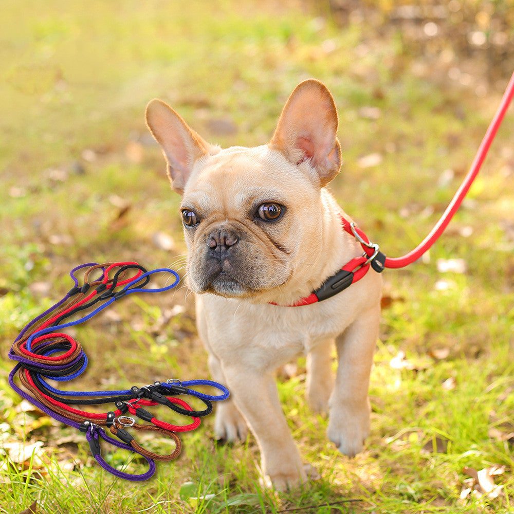 Thin Outdoor Dog Leash