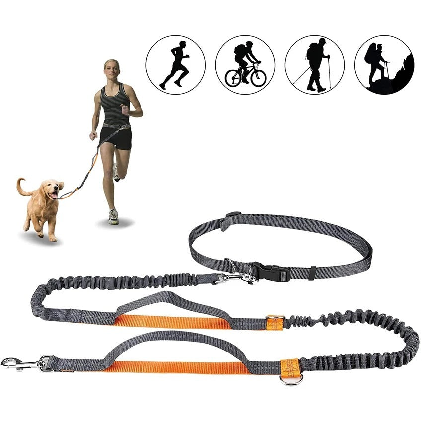 Outdoor Pet Harness Collar Leash